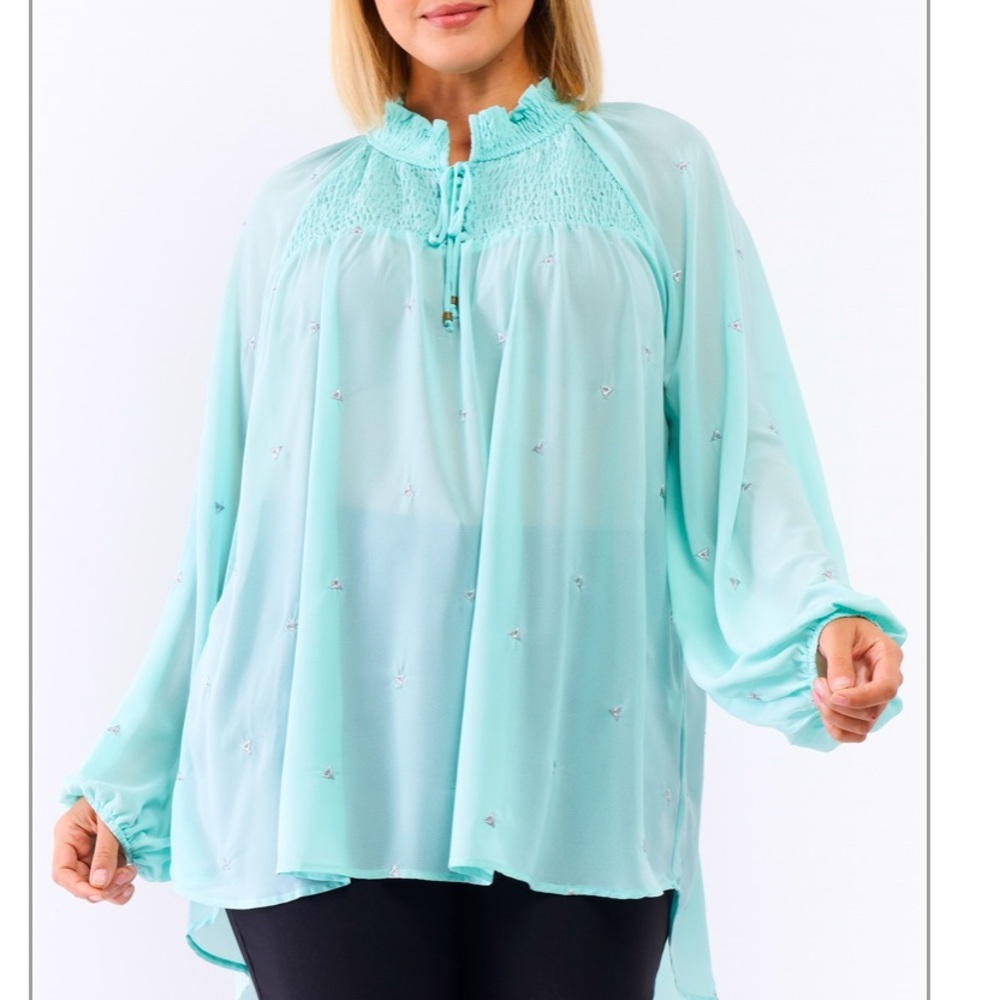 Plus Size Sheer Chiffon Blouse